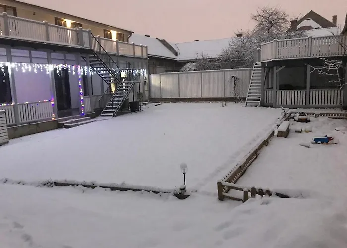 Delia * Брашов