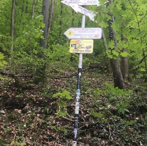 Delia Апартаменты